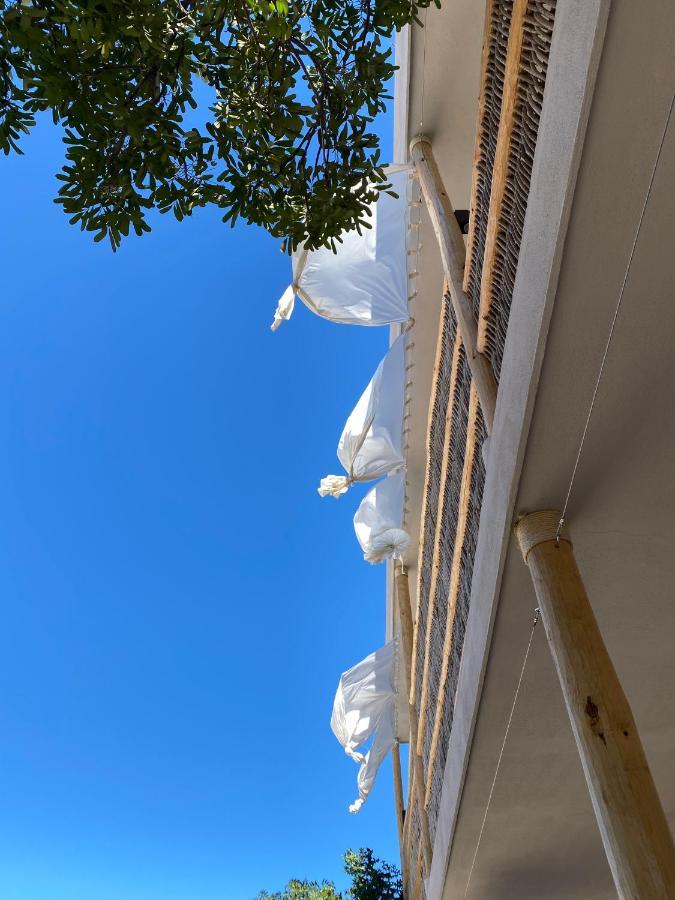 ラパス The Mantarraya Outpost Bed & Breakfast エクステリア 写真