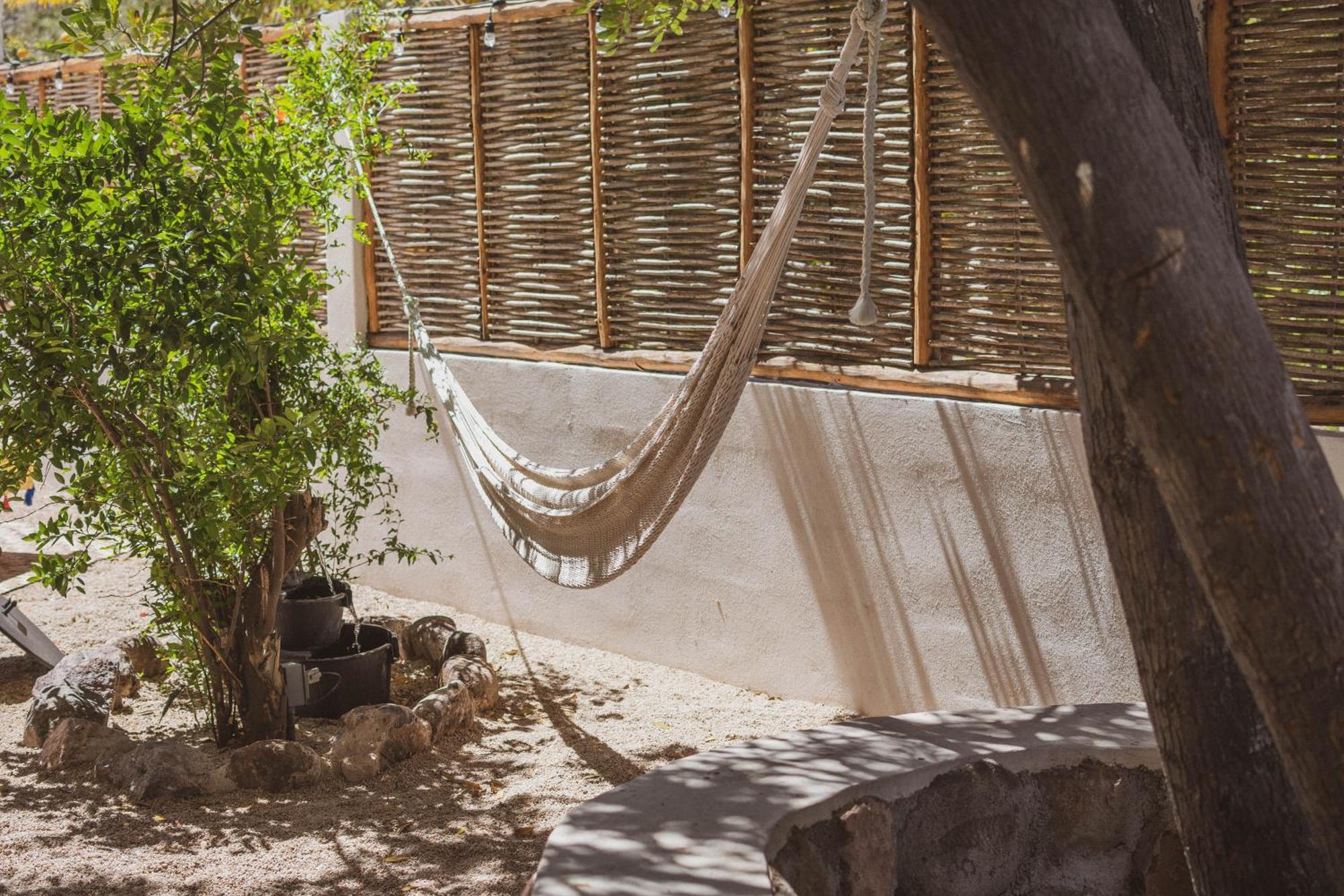 ラパス The Mantarraya Outpost Bed & Breakfast エクステリア 写真