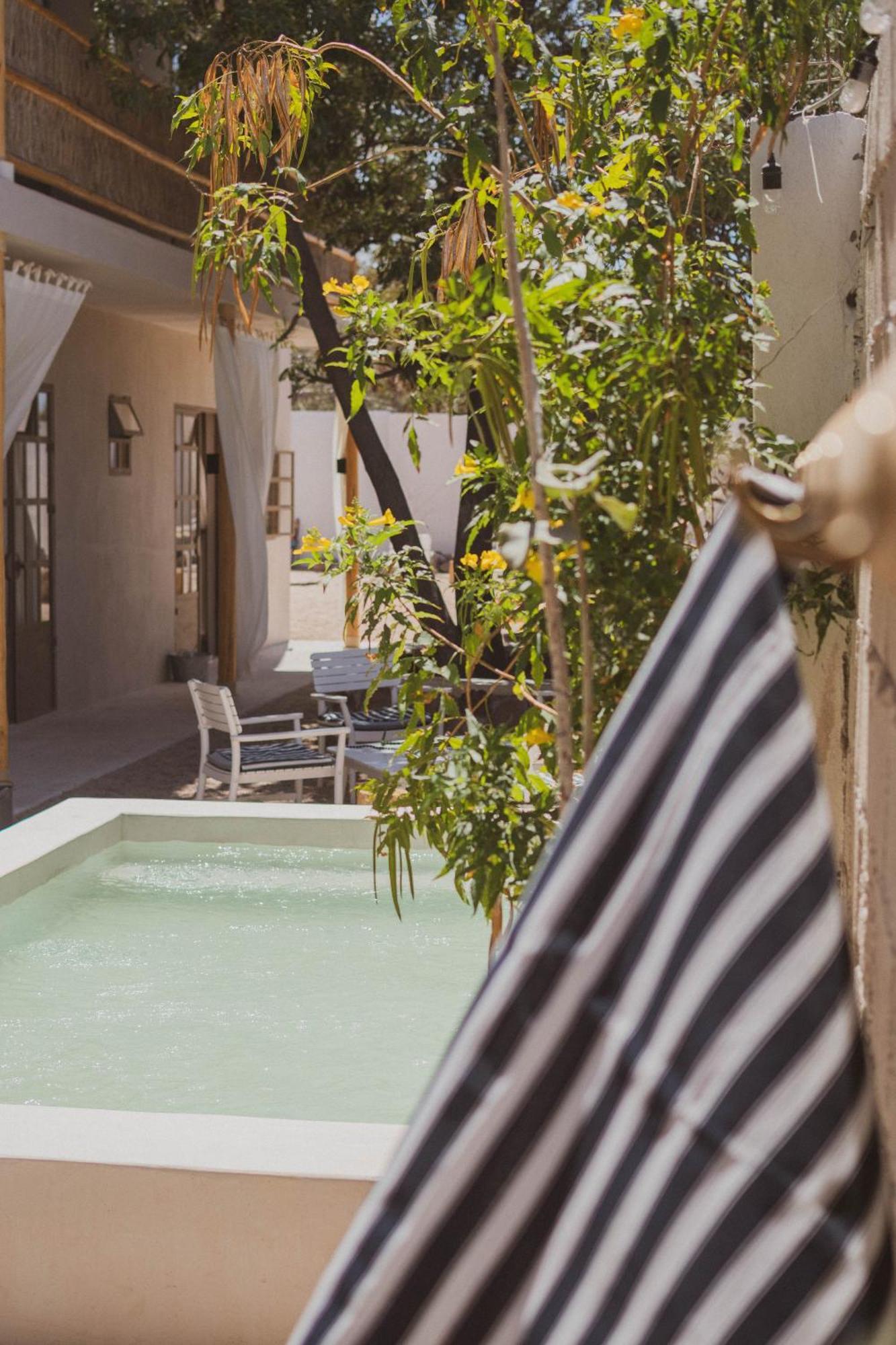 ラパス The Mantarraya Outpost Bed & Breakfast エクステリア 写真